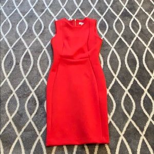 Calvin Klein Dress